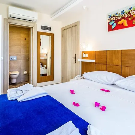 Artemis Otel 4*